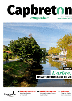 L'arbre, un acteur du cadre de vie